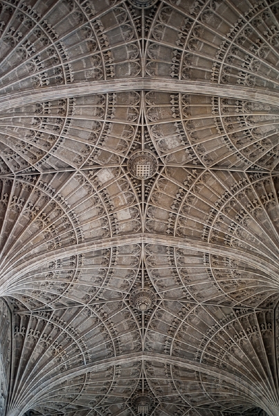 Ed -L1006790.jpg
